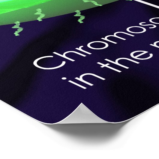 Prokaryotische Zelldiagramme Poster (Ecke)