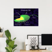 Prokaryotische Zelldiagramme Poster (Heimbüro)