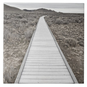 Promenade durch die Wüste Fliese