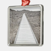 Promenade durch die Wüste Silbernes Ornament (Links)