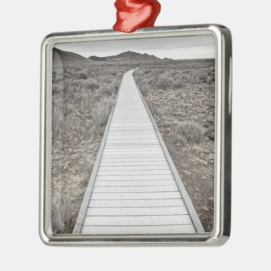 Promenade durch die Wüste Silbernes Ornament (Links)