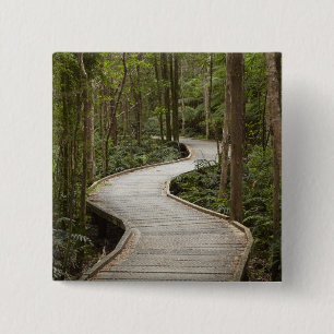 Promenade nach Nelson Falls, Franklin - Gordon Button