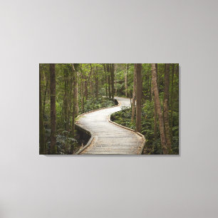 Promenade nach Nelson Falls, Franklin - Gordon Leinwanddruck