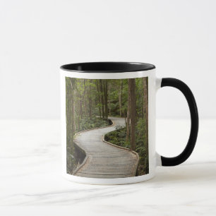 Promenade nach Nelson Falls, Franklin - Gordon Tasse
