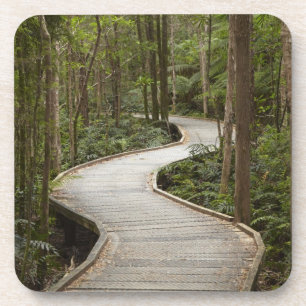 Promenade nach Nelson Falls, Franklin - Gordon Untersetzer