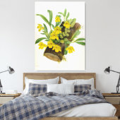 Promenaea Citrina Vintag Lindenia Orchids Leinwanddruck (Insitu (Schlafzimmer))