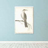 Promerops oder Bienenfresser aus Kalifornien Leinwanddruck (Insitu (Holzboden))