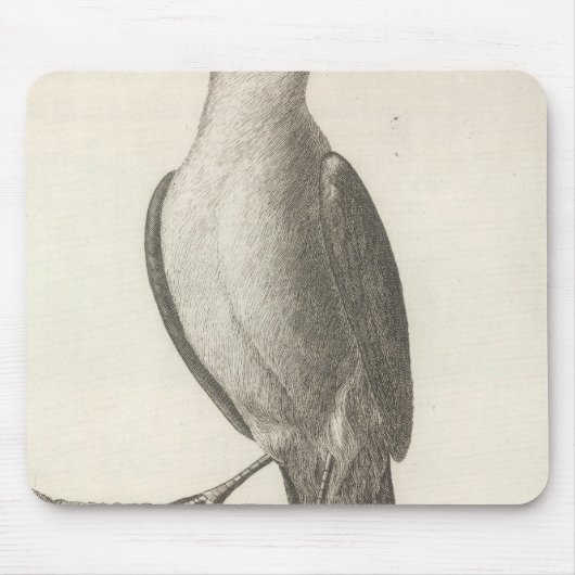 Promerops oder Bienenzäater von Kalifornien Mousepad (Vorne)