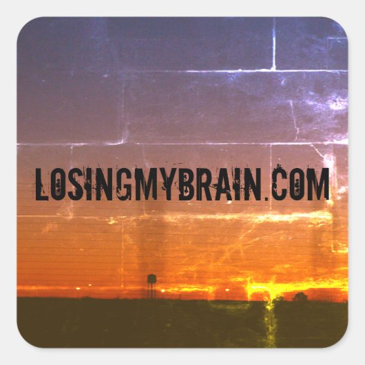 Promo-Aufkleber für die LMD-Website Quadratischer Aufkleber (Vorderseite)