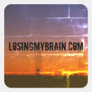 Promo-Aufkleber für die LMD-Website Quadratischer Aufkleber