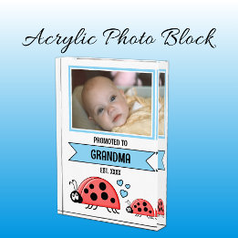 Promoted to grandma ladybugs blue fotoblock
