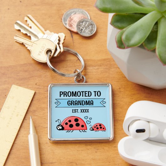 Promoted to Grandma ladybugs blue Schlüsselanhänger (Schreibtisch)