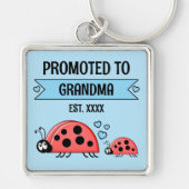 Promoted to Grandma ladybugs blue Schlüsselanhänger (Vorne)
