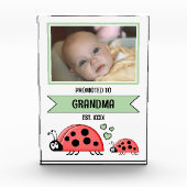 Promoted to grandma ladybugs green fotoblock (Vorderseite)