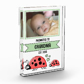 Promoted to grandma ladybugs green fotoblock (Links)