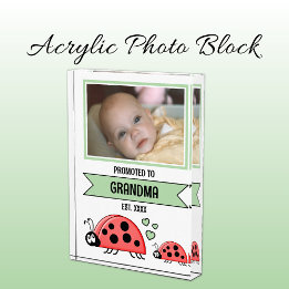 Promoted to grandma ladybugs green fotoblock
