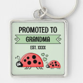 Promoted to Grandma ladybugs green Schlüsselanhänger (Vorne)
