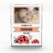 Promoted to grandma ladybugs peach fotoblock (Vorderseite)