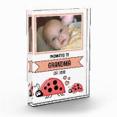 Promoted to grandma ladybugs peach fotoblock (Links)