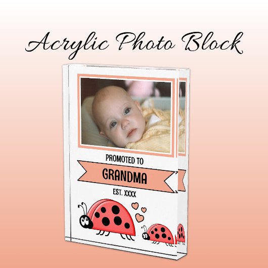 Promoted to grandma ladybugs peach fotoblock