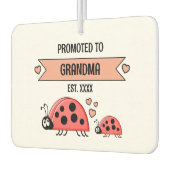 Promoted to grandma ladybugs photo peach autolufterfrischer (Links)