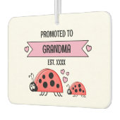 Promoted to grandma ladybugs photo pink autolufterfrischer (Links)