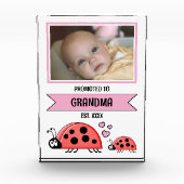 Promoted to grandma ladybugs pink fotoblock (Vorderseite)