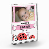 Promoted to grandma ladybugs pink fotoblock (Links)