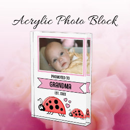 Promoted to grandma ladybugs pink fotoblock
