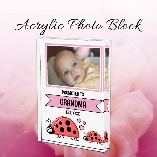 Promoted to grandma ladybugs pink fotoblock