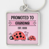 Promoted to Grandma ladybugs pink Schlüsselanhänger (Vorne)