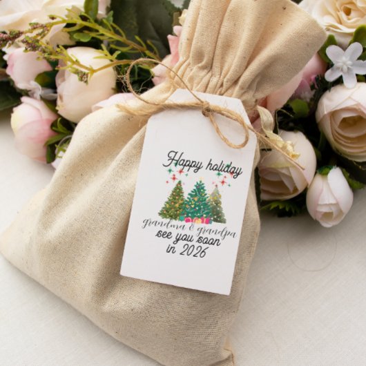 Promoted to Grandparents Christmas tree  Geschenkanhänger