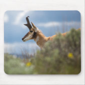 Prong Horn Antelope Mousepad (Vorne)