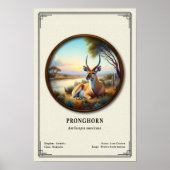 Pronghorn (American Antelope) Zoology Series Poster (Vorne)