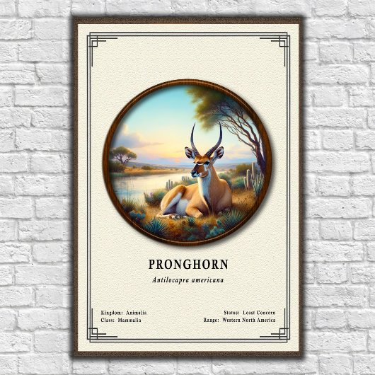 Pronghorn (American Antelope) Zoology Series Poster