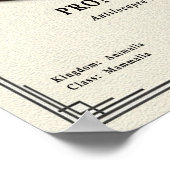 Pronghorn (American Antelope) Zoology Series Poster (Ecke)