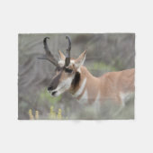 Pronghorn Antelope Buck | Grand Tetons Fleecedecke (Vorderseite (Horizontal))