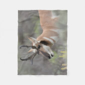 Pronghorn Antelope Buck | Grand Tetons Fleecedecke (Vorderseite)