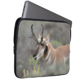 Pronghorn Antelope Buck | Grand Tetons Laptopschutzhülle (Vorne Rechts)