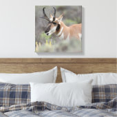 Pronghorn Antelope Buck | Grand Tetons Leinwanddruck (Insitu (Schlafzimmer))