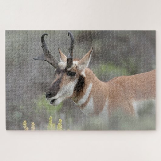 Pronghorn Antelope Buck | Grand Tetons Puzzle (Horizontal)