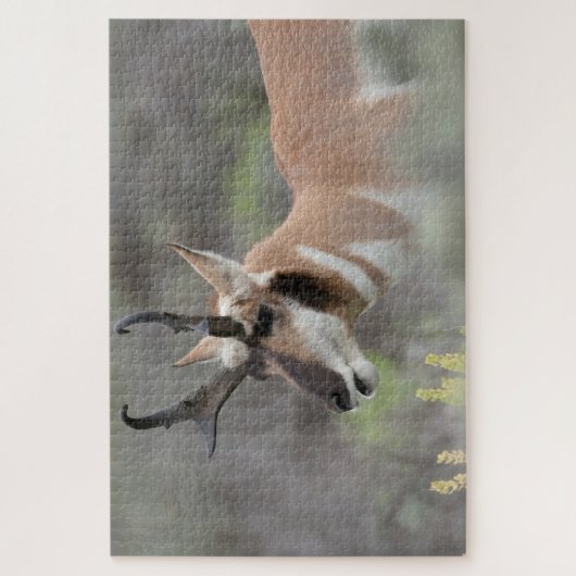 Pronghorn Antelope Buck | Grand Tetons Puzzle (Vertikal)