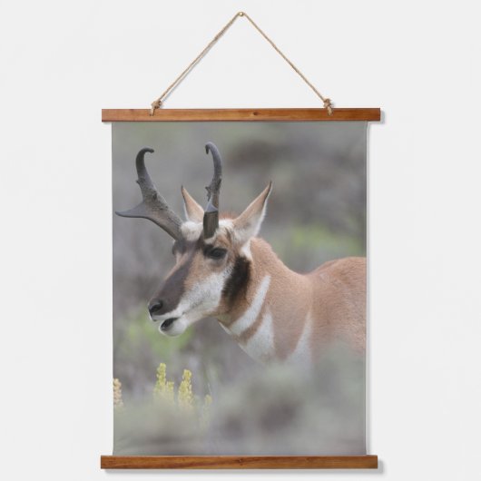 Pronghorn Antelope Buck | Grand Tetons Wandteppich Mit Holzrahmen (Vorderseite)