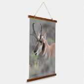 Pronghorn Antelope Buck | Grand Tetons Wandteppich Mit Holzrahmen (Gewinkelt)
