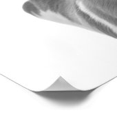 Pronghorn Antelope Desert Animal Portrait Poster (Ecke)