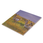 Pronghorn Antelope in Montana Fliese (Seite)