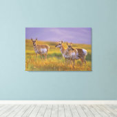Pronghorn Antelope in Montana Leinwanddruck (Insitu (Holzboden))