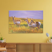 Pronghorn Antelope in Montana Leinwanddruck (Insitu (Wohnzimmer))