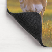 Pronghorn Antelope in Montana Mousepad (Ecke)