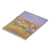 Pronghorn Antelope in Montana Notizblock (Rotiert)